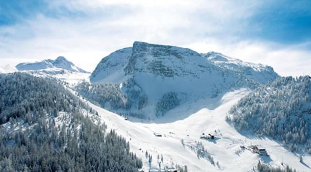Apartment Alpenjäger